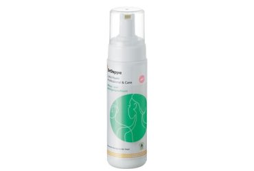 Lotio Foam Professional & Care Pflegeschaum